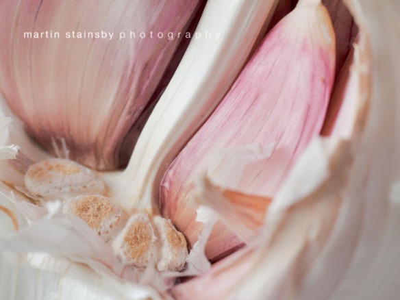Close-up shot of Garlic Bulb (2) by martin stainsby photography
